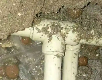 电白测漏水多少钱