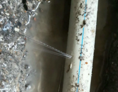 电白测漏水哪家好