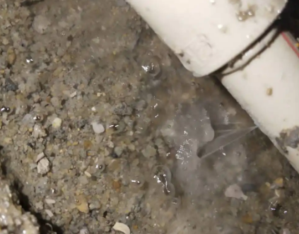 电白测漏水电话号码