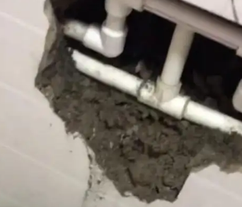 电白漏水检测电话