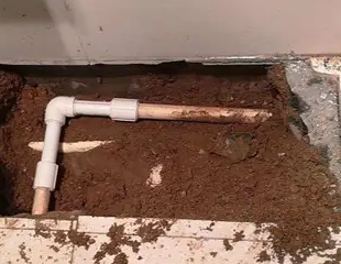 电白测漏水哪家好