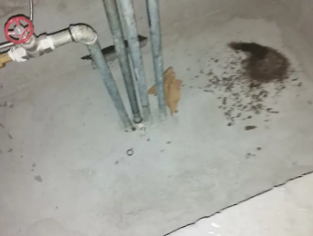 电白卫生间测漏水价格明细