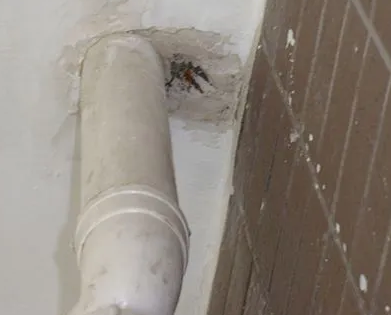 电白漏水检测哪家好